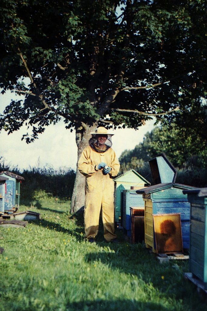 Pszczoły Pszczoła Pasieka Micuda (6)